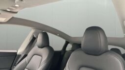 
										2022 Tesla Model Y Performance AWD 534hp Autopilot full									