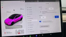 
										2022 Tesla Model Y Performance AWD 534hp Autopilot full									
