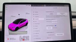 
										2022 Tesla Model Y Performance AWD 534hp Autopilot full									