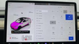 
										2022 Tesla Model Y Performance AWD 534hp Autopilot full									