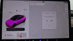 
										2022 Tesla Model Y Performance AWD 534hp Autopilot full									
