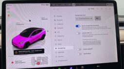 
										2022 Tesla Model Y Performance AWD 534hp Autopilot full									