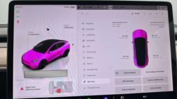 
										2022 Tesla Model Y Performance AWD 534hp Autopilot full									