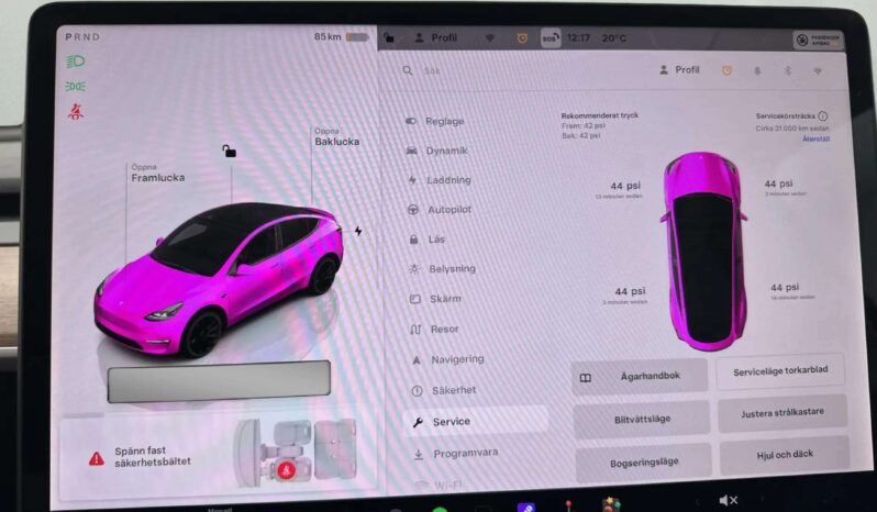 
								2022 Tesla Model Y Performance AWD 534hp Autopilot full									
