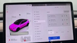 
										2022 Tesla Model Y Performance AWD 534hp Autopilot full									