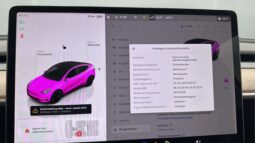
										2022 Tesla Model Y Performance AWD 534hp Autopilot full									