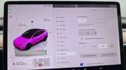 
										2022 Tesla Model Y Performance AWD 534hp Autopilot full									