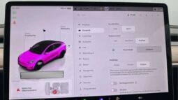 
										2022 Tesla Model Y Performance AWD 534hp Autopilot full									