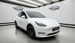 
										2022 Tesla Model Y Performance AWD 534hp Autopilot full									